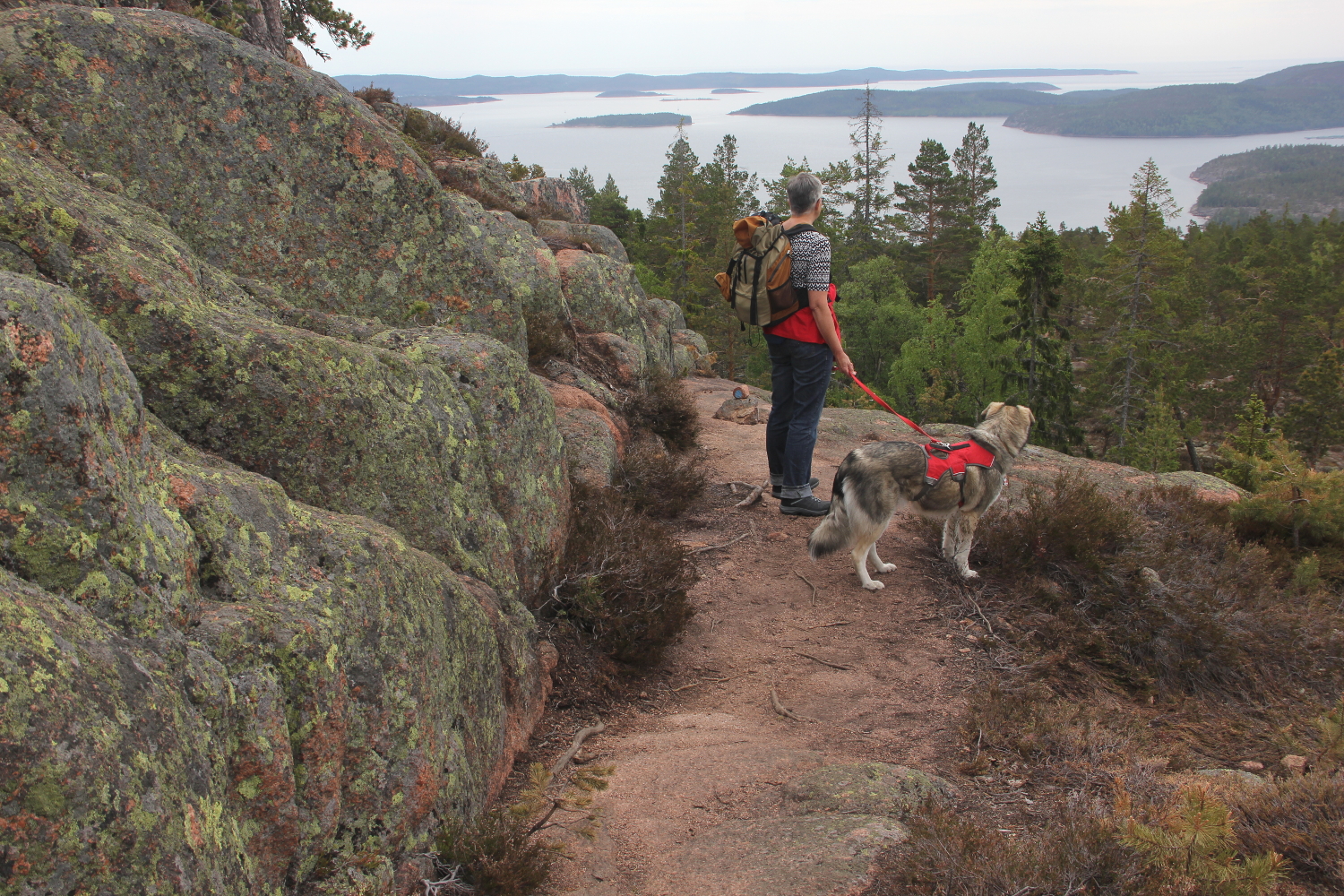 Skuleskogens Nationalpark